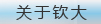 关于钦大